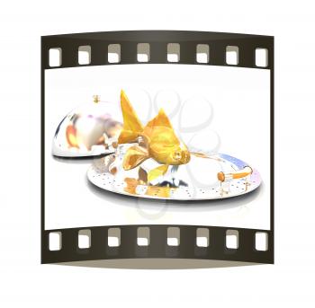 Gold fish on a restaurant cloche on a white background. The film strip
