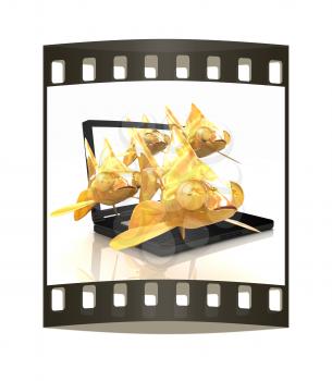Gold fishea and laptop on a white background. The film strip