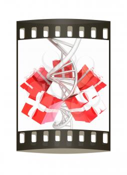 DNA structure model and gifts on white background. The film strip