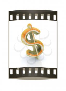 Dollar sign on white background. The film strip