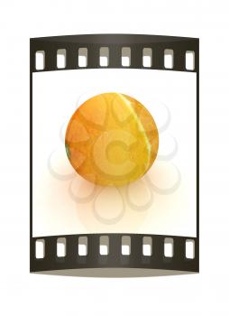 orange fruit on white background. The film strip