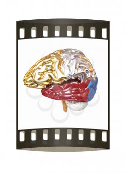 Colorfull human brain. The film strip