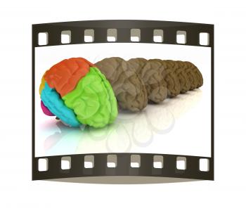 Human brains. The film strip