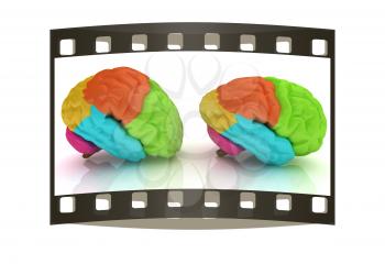 Human brains. The film strip