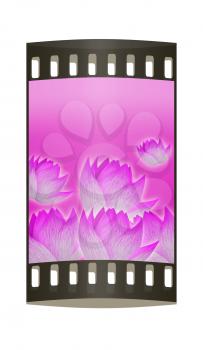 Pink background with tender pink flowers. Perfect for invitations or announcements. The film strip