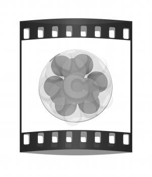 Oranges on a plate on a white background. The film strip