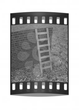 Ladder leans on brick wall on a green grass. The film strip
