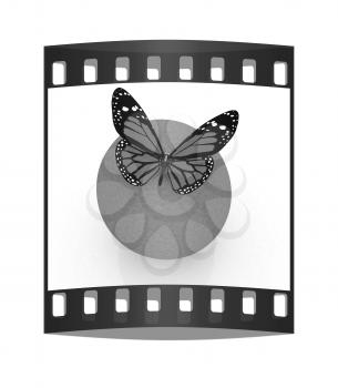 Red butterflys on a oranges on a white background. The film strip