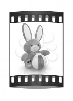 soft toy hare and colorful aquatic ball on a white background. The film strip