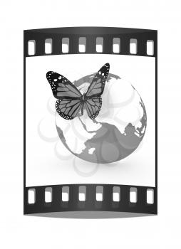 Earth and butterfly on white background. The film strip