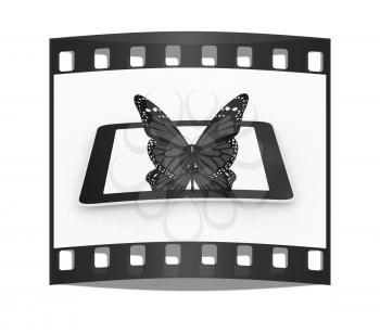 butterflies on a phone on a white background. The film strip