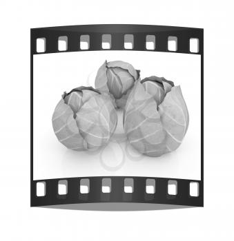 Green cabbage on a white background. The film strip