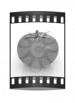 tomato on a white background. The film strip