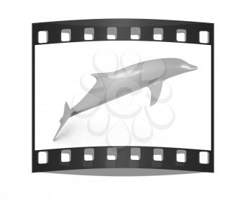 golden dolphin on a white background. The film strip