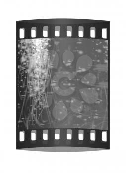 Winter or Christmas style background with a wave of stars to the right place for your image or text. The film strip