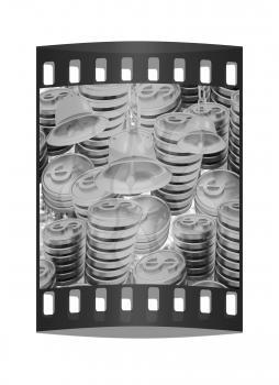 The money for the holiday. The film strip