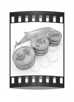 Gold coins with 3 major currencies with golden dolphin on a white background. The film strip
