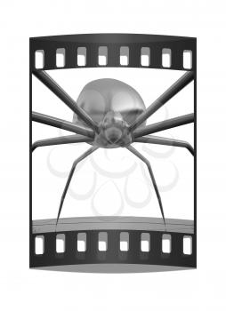 chrome spider.Close-up on a white background. The film strip