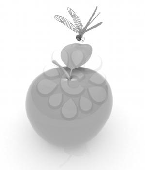 Dragonfly on apple