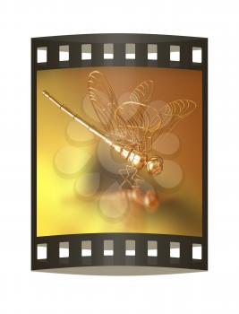 Gold dragonfly on a gold background