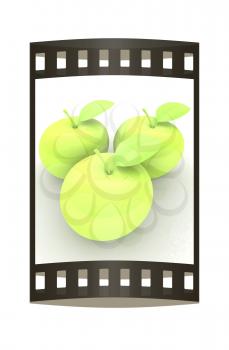 Orchard Clipart