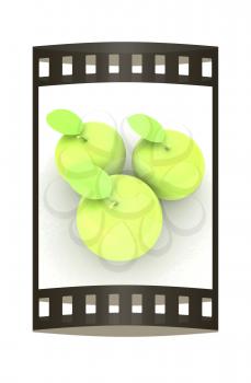 Orchard Clipart
