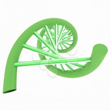 DNA structure model on white