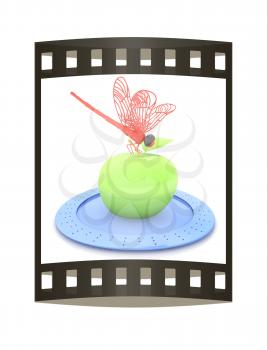 Dragonfly on apple on Serving dome or Cloche. Natural eating concept
