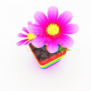  beautiful flower in the colorful pot. 3D illustration. Anaglyph. View with red/cyan glasses to see in 3D.