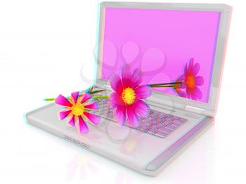 cosmos flower on laptop on a white background. 3D illustration. Anaglyph. View with red/cyan glasses to see in 3D.