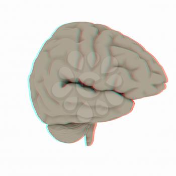 Human brain. 3D illustration. Anaglyph. View with red/cyan glasses to see in 3D.