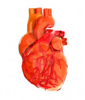 Human heart. 3D illustration. Anaglyph. View with red/cyan glasses to see in 3D.