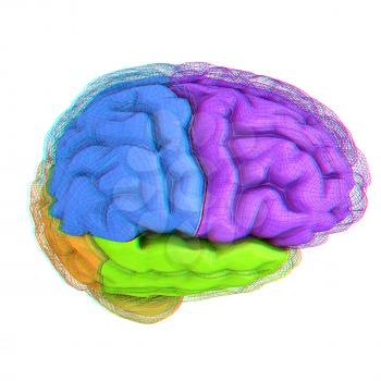 Creative concept of the human brain. 3D illustration. Anaglyph. View with red/cyan glasses to see in 3D.