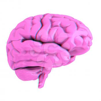 human brain. 3D illustration. Anaglyph. View with red/cyan glasses to see in 3D.