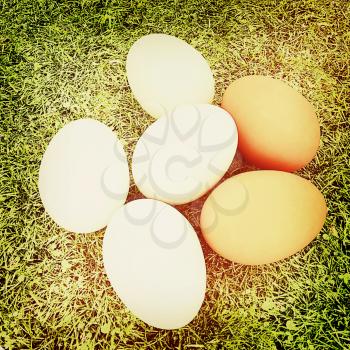 Eggs on the grass . 3D illustration. Vintage style.