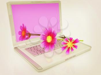 cosmos flower on laptop on a white background. 3D illustration. Vintage style.