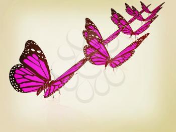 Butterfly on a white background. 3D illustration. Vintage style.