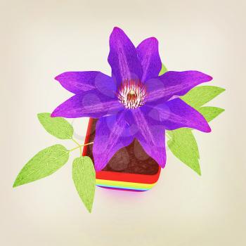 Clematis a beautiful flower in the colorful pot. 3D illustration. Vintage style.