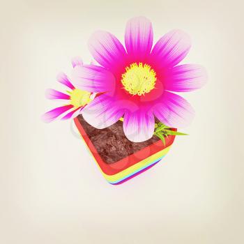  beautiful flower in the colorful pot. 3D illustration. Vintage style.