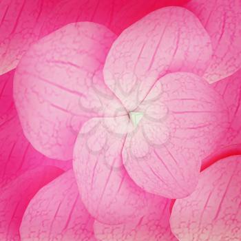 Flowers beautiful petals pink background. 3D illustration. Vintage style.