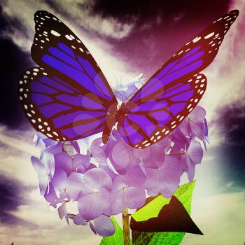 Beautiful Ajisai Flower and butterfly against the sky. 3D illustration. Vintage style.