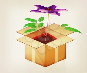 Clematis in a pot out of the box on a white background. 3D illustration. Vintage style.