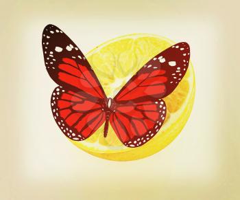 Red butterflys on a half oranges on a white background . 3D illustration. Vintage style.