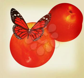 Red butterflys on a fresh peaches on a white background . 3D illustration. Vintage style.