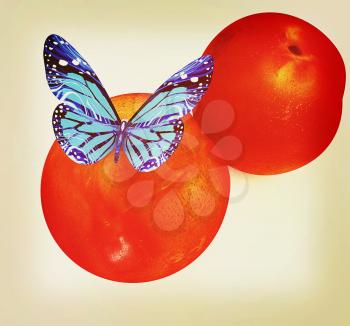 Blue butterflys on a fresh peaches on a white background . 3D illustration. Vintage style.