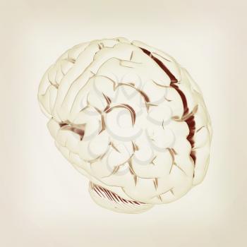 Metall human brain. 3D illustration. Vintage style.