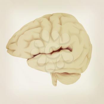 Human brain. 3D illustration. Vintage style.