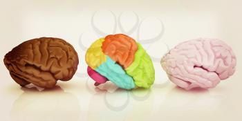 Human brains. 3D illustration. Vintage style.