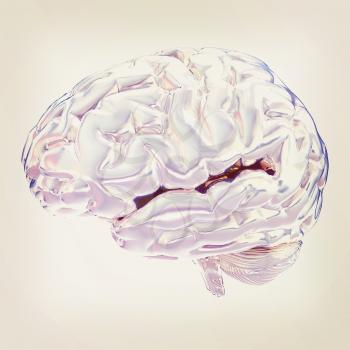 Human brain. 3D illustration. Vintage style.