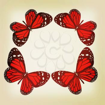 butterflies isolated on white background . 3D illustration. Vintage style.
